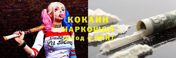 ГАЛЛЮЦИНОГЕННЫЕ ГРИБЫ Козловка