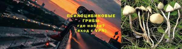 ECSTASY Козельск