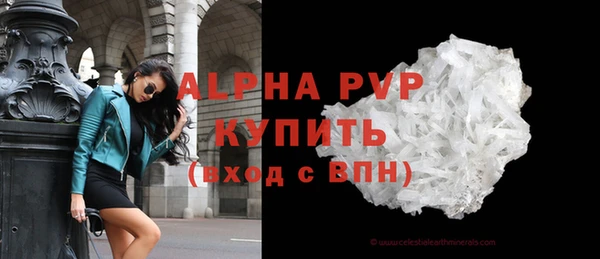 ГАЛЛЮЦИНОГЕННЫЕ ГРИБЫ Козловка