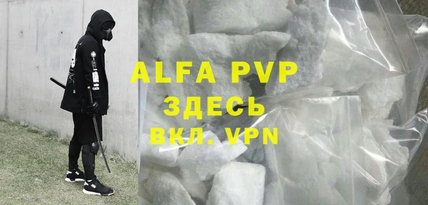 ГАЛЛЮЦИНОГЕННЫЕ ГРИБЫ Козловка