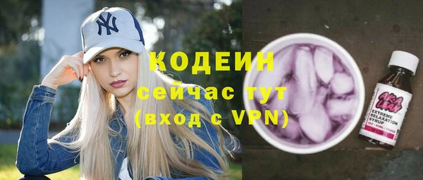 ГАЛЛЮЦИНОГЕННЫЕ ГРИБЫ Козловка