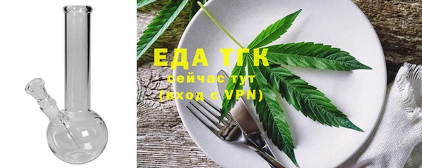 ГАЛЛЮЦИНОГЕННЫЕ ГРИБЫ Козловка