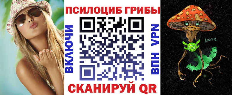 Купить где  Приморск  Галлюциногенные грибы мухоморы 
