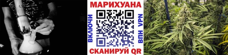 Купить где  Приморск  Каннабис конопля 